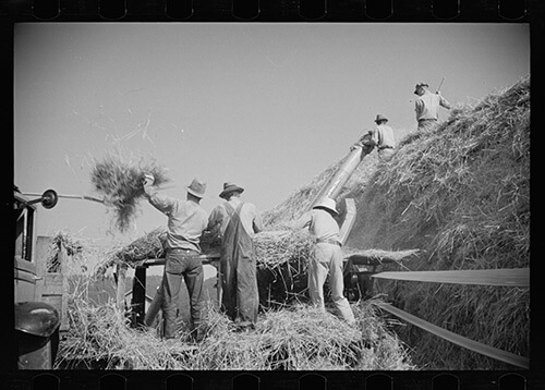 Carl Mydans, Threshing, Tygart Valley, West Virginia, August, 1936. Library of Congress Prints and Photographs Division, FSA/OWI Black & White Negatives Collection, LC-USF33-000723-M2. Carl Mydans, Threshing, Tygart Valley, West Virginia, August, 1936. Library of Congress Prints and Photographs Division, FSA/OWI Black & White Negatives Collection, LC-USF33-000723-M2.