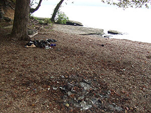 Rheta Grimsley Johnson, Trash on a beach on Pickwick Lake, Fish Trap Hollow, Mississippi, 2012. Rheta Grimsley Johnson, Trash on a beach on Pickwick Lake, Fish Trap Hollow, Mississippi, 2012.