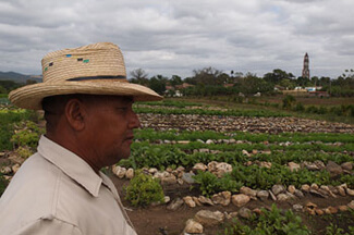 Charles D. Thompson, Jr., Pedro Rodriguez Pérez, Vice-President of the Organoponico Manaca Iznaga, looking over the vegetables he and nine other farmers grow for a living. In the background is the infamous tower in the Valle de los Ingeneros where slave owners overlooked their workers in fields, Trinidad, Cuba, December 2010. Charles D. Thompson, Jr., Pedro Rodriguez Pérez, Vice-President of the Organoponico Manaca Iznaga, looking over the vegetables he and nine other farmers grow for a living. In the background is the infamous tower in the Valle de los Ingeneros where slave owners overlooked their workers in fields, Trinidad, Cuba, December 2010.