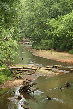 Rob and Joyce Hanssen, Lawson's Fork Creek, Spartanburg, South Carolina, 2008. Rob and Joyce Hanssen, Lawson's Fork Creek, Spartanburg, South Carolina, 2008.