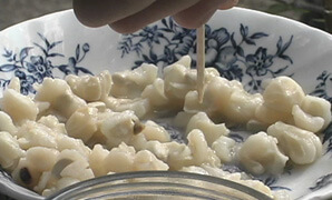 Zachariah McCannon, Hominy made with Hickory King corn, PLACE, YEAR. Zachariah McCannon, Hominy made with Hickory King corn, PLACE, YEAR.