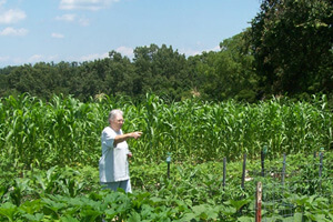 Brenda Smyth, Willodean in her garden, Searcy County, Arkansas, July 2009. Brenda Smyth, Willodean in her garden, Searcy County, Arkansas, July 2009.