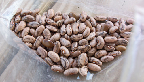 Brian C. Campbell, John Dee cornfield beans, Newton County, Arkansas, 2007. Brian C. Campbell, John Dee cornfield beans, Newton County, Arkansas, 2007.