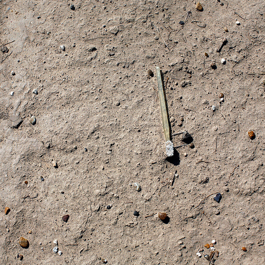 Susan Harbage Page, Yellow toothbrush, Brownsville, Texas, 2007. Susan Harbage Page, Yellow toothbrush, Brownsville, Texas, 2007.