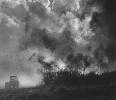 Burning Cane, Louisiana, photograph by Debbie Fleming Caffery © 1999. See more at the Jennifer Schwartz Gallery. Burning Cane, Louisiana, photograph by Debbie Fleming Caffery © 1999. See more at the Jennifer Schwartz Gallery.