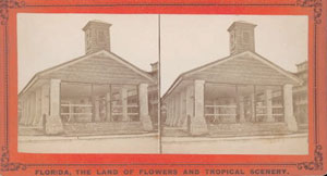 Figure 44. The Market House of St. Augustine, Florida, Formerly Used as a Slave Market, c. 1886. Stereograph from the collection: Florida: The Land of Flowers and Tropical Scenery. Courtesy of the State Archives of Florida. Figure 44. The Market House of St. Augustine, Florida, Formerly Used as a Slave Market, c. 1886. Stereograph from the collection: Florida: The Land of Flowers and Tropical Scenery. Courtesy of the State Archives of Florida.