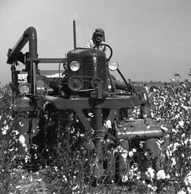 Marion Post Wolcott, Cotton picker in Clarksdale, Mississippi Delta, Mississippi, 1939. Marion Post Wolcott, Cotton picker in Clarksdale, Mississippi Delta, Mississippi, 1939.