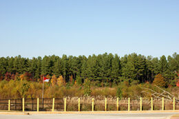 John Howard, Developer's flag, Henry County, Georgia, November 2008. John Howard, Developer's flag, Henry County, Georgia, November 2008.