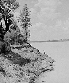 Marion Post Wolcott, Mississippi River near Perthshire, Mississippi Delta, 1940. Marion Post Wolcott, Mississippi River near Perthshire, Mississippi Delta, 1940.