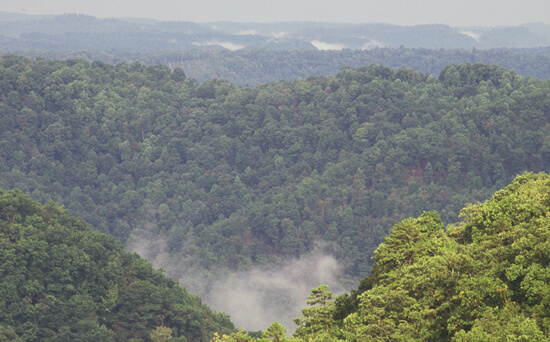 Mark Schmerling, Mists rise over the Paint CreekMark Schmerling, Mists rise over the Paint Creek Trail, Kanawha County, West Virginia, 2006.  Mark Schmerling, Mists rise over the Paint Creek Trail, Kanawha County, West Virginia, 2006.