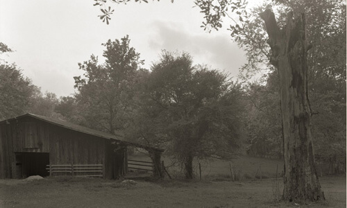Nancy Marshall, The stable, Andalusia Nancy Marshall, The stable, Andalusia