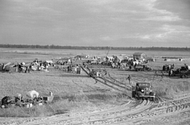 Arthur Rothstein, New Madrid spillway, where evicted sharecroppers were moved from highway, New Madrid County, Missouri, January 1939, FSA-OWI Collection, Library of Congress, LC-USF33-002956-M4. Arthur Rothstein, New Madrid spillway, where evicted sharecroppers were moved from highway, New Madrid County, Missouri, January 1939, FSA-OWI Collection, Library of Congress, LC-USF33- 002956-M4.