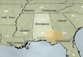 Map of Wiregrass Region of Alabama Map of Wiregrass Region of Alabama