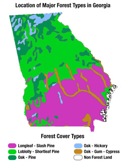 Location of Major Forest Types in Georgia. Location of Major Forest Types in Georgia.
