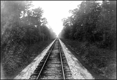 The N.Y., P. & N. was built down the high, dry, and sparsely populated spine of the peninsula. Seeing little evidence of human activity, early travelers felt "walled in" by the pines. Notice the oyster-shell ballast. The N.Y., P. & N. was built down the high, dry, and sparsely populated spine of the peninsula. Seeing little evidence of human activity, early travelers felt "walled in" by the pines. Notice the oyster-shell ballast.