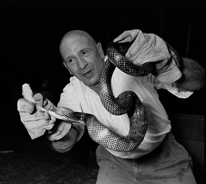 Rob Amberg with black snake caught in his barn eating chicken eggs, Paw Paw, North Carolina. Photograph by Earl Dotter. Courtesy of Rob Amberg.