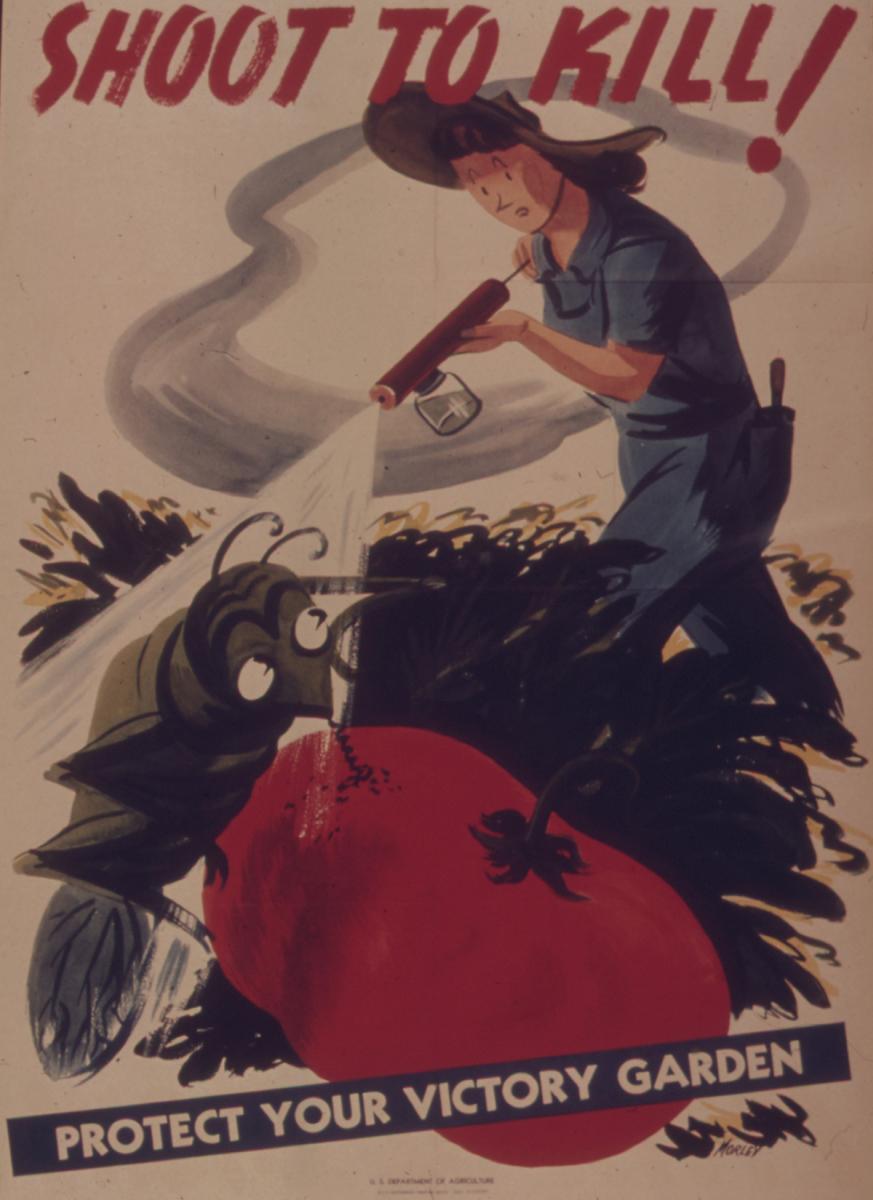 Shoot to Kill, Protect Your Victory Garden. Image by the US Department of Agriculture, 1941–1945. Courtesy of Wikimedia Commons. Image is in the public domain. Shoot to Kill, Protect Your Victory Garden. Image by the US Department of Agriculture, 1941–1945. Courtesy of Wikimedia Commons. Image is in the public domain.