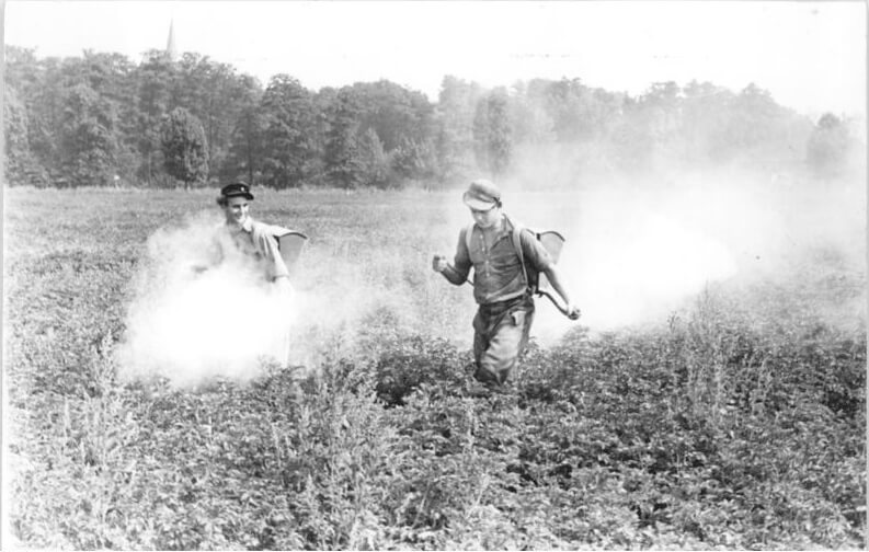 Children and DDT, August 15, 1953. Courtesy of Wikimedia Commons. Creative Commons license CC BY-SA 3.0 DE. Children and DDT, August 15, 1953. Courtesy of Wikimedia Commons. Creative Commons license CC BY-SA 3.0 DE.