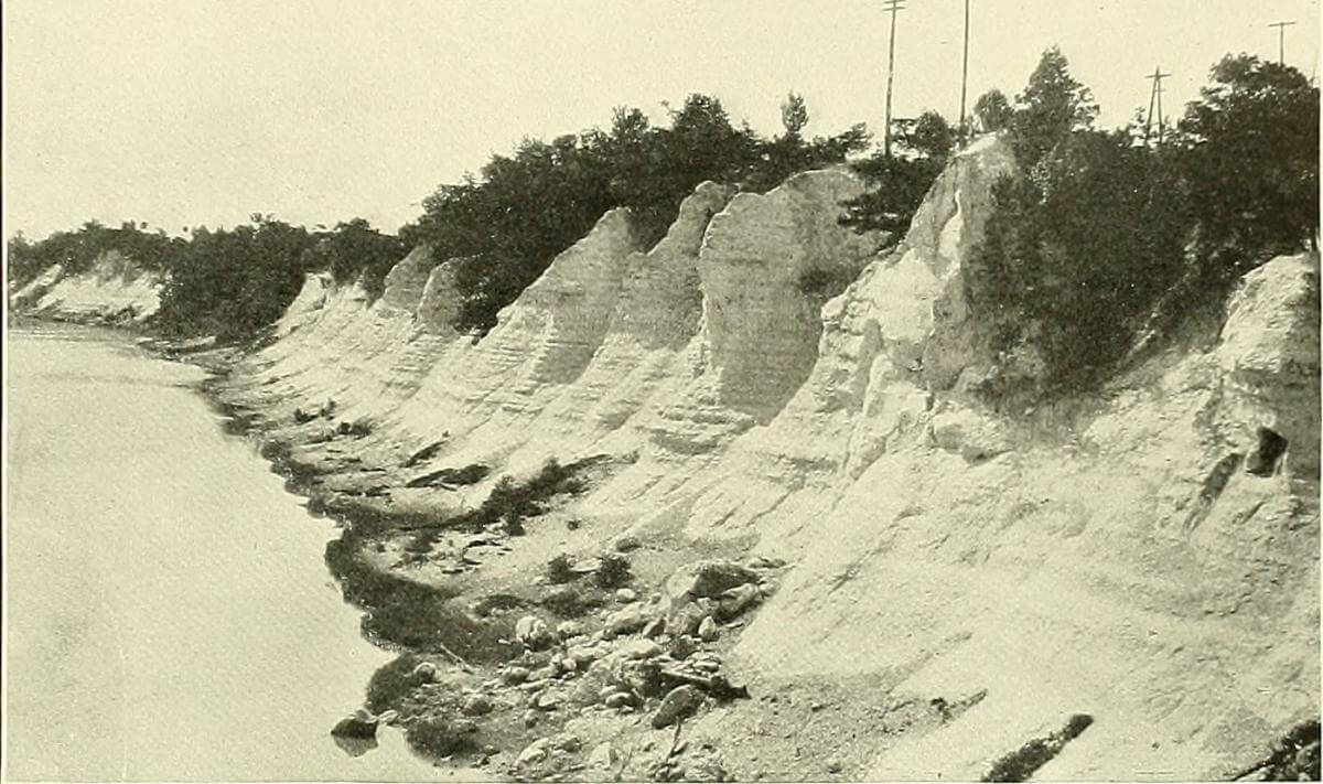 Selma Chalk photographs from 1914 US Geological Survey “Cretaceous Deposits of the Eastern Gulf Region,” ca. 1914. Image uploaded by Flickr user Internet Archive Book Images. Image is in the public domain.