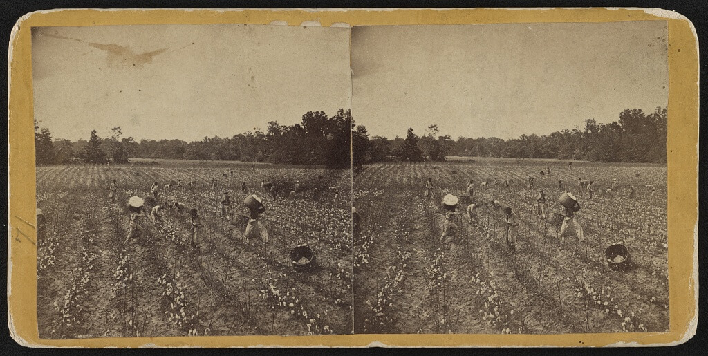 Stereograph of African Americans in a cotton field in Montgomery, Alabama, ca. 1860. Photograph by J.H. Holtzclaw. Courtesy of Library of Congress Prints and Photographs Division, https://www.loc.gov/resource/stereo.1s02973/