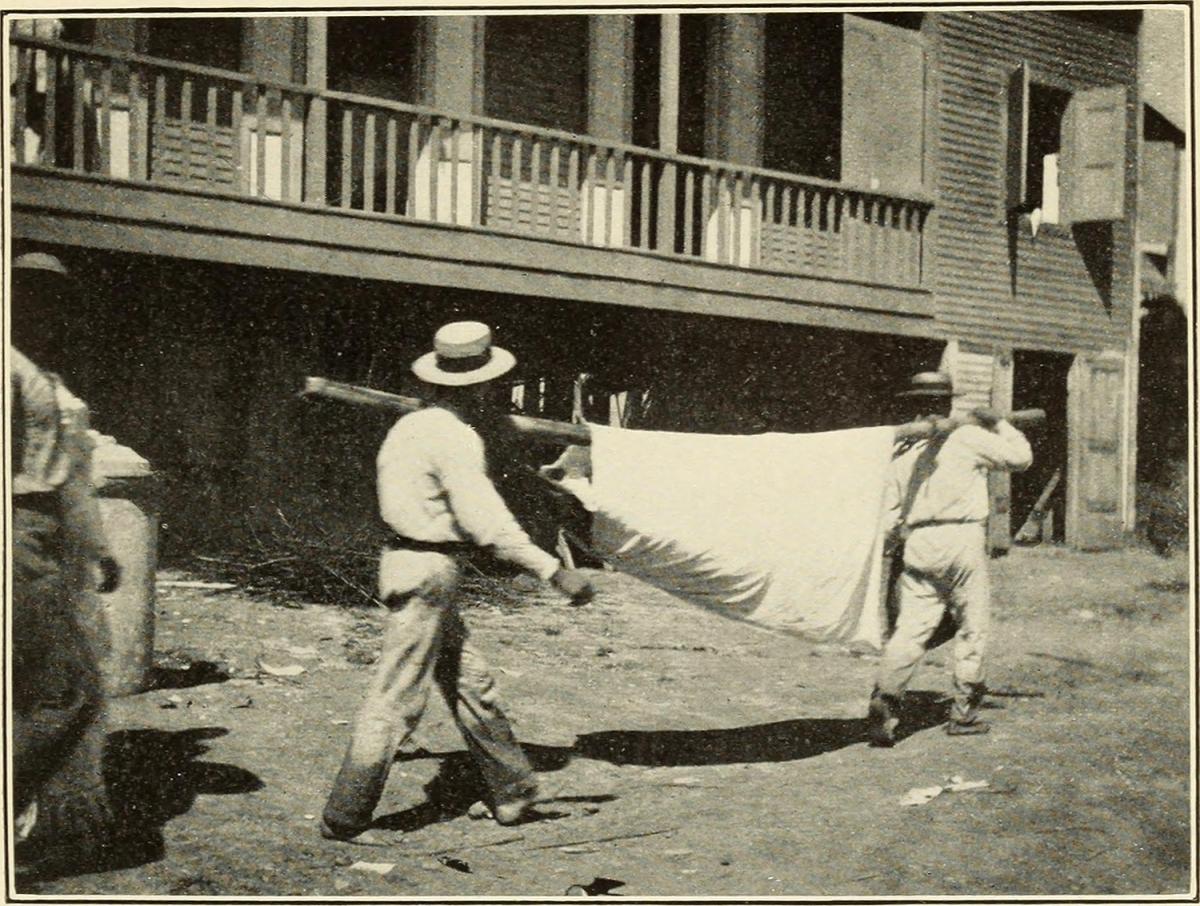 A 'Hammock Case' at the Utuado Station in 1904, Puerto Rico, 1911. Originally published in Bailey K. Ashford and Pedro Guitérrez Igaravidez's Uncinariasis (Hookworm disease) in Porto Rico: a medical and economic problem (Washington DC: US Government Print Office, 1911). Photograph uploaded by Flickr user Internet Archive Book Images. Image is in public domain. A 'Hammock Case' at the Utuado Station in 1904, Puerto Rico, 1911. Originally published in Bailey K. Ashford and Pedro Guitérrez Igaravidez's Uncinariasis (Hookworm disease) in Porto Rico: a medical and economic problem (Washington DC: US Government Print Office, 1911). Photograph uploaded by Flickr user Internet Archive Book Images. Image is in public domain.