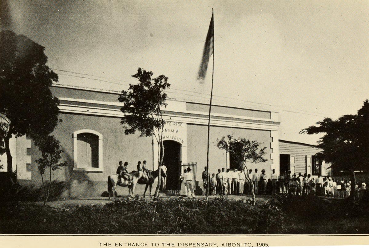 The Entrance to the Dispensary, Aibonito, 1905. Originally published in Bailey K. Ashford and Pedro Guitérrez Igaravidez's Uncinariasis (Hookworm disease) in Porto Rico: a medical and economic problem (Washington DC: US Government Print Office, 1911). Photograph uploaded by Flickr user Internet Archive Book Images. Image is in public domain. The Entrance to the Dispensary, Aibonito, 1905. Originally published in Bailey K. Ashford and Pedro Guitérrez Igaravidez's Uncinariasis (Hookworm disease) in Porto Rico: a medical and economic problem (Washington DC: US Government Print Office, 1911). Photograph uploaded by Flickr user Internet Archive Book Images. Image is in public domain.