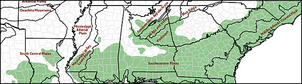 EPA ecoregions level III and historic range of longleaf pine, Map by Longleaf Alliance. Reproduced by permission of Longleaf Alliance. EPA ecoregions level III and historic range of longleaf pine, Map by Longleaf Alliance. Reproduced by permission of Longleaf Alliance.