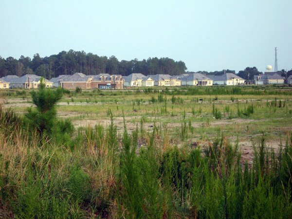 Mary Battle, Development, Myrtle Beach, South Carolina, 2007.