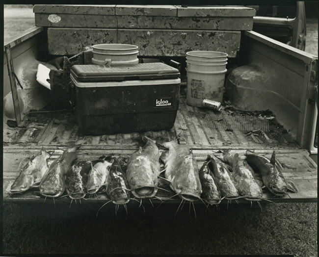 Tom Rankin, Fish, Montgomery Island, Arkansas, 2005. Tom Rankin, Fish, Montgomery Island, Arkansas, 2005.