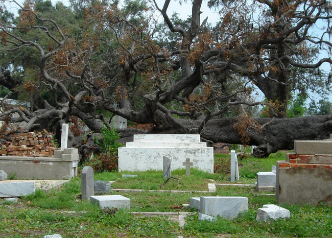 Emma Bertolaet, Biloxi cemetery, Biloxi, Mississippi, 2006. Emma Bertolaet, Biloxi cemetery, Biloxi, Mississippi, 2006.