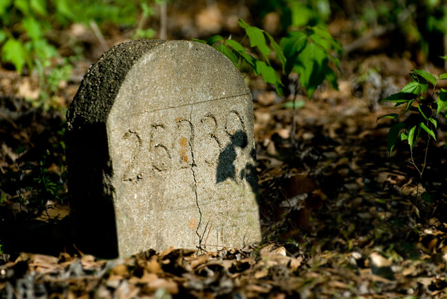 Thomas McKane, Just a number, Old Bryce Hospital Cemetery, Tuscaloosa, Alabama, 2007.  Thomas McKane, Just a number, Old Bryce Hospital Cemetery, Tuscaloosa, Alabama, 2007.