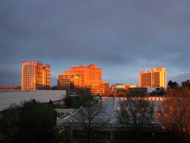 Ashley Bradford, Burning bright, Tysons Corner, Virginia, 2009. Ashley Bradford, Burning bright, Tysons Corner, Virginia, 2009.