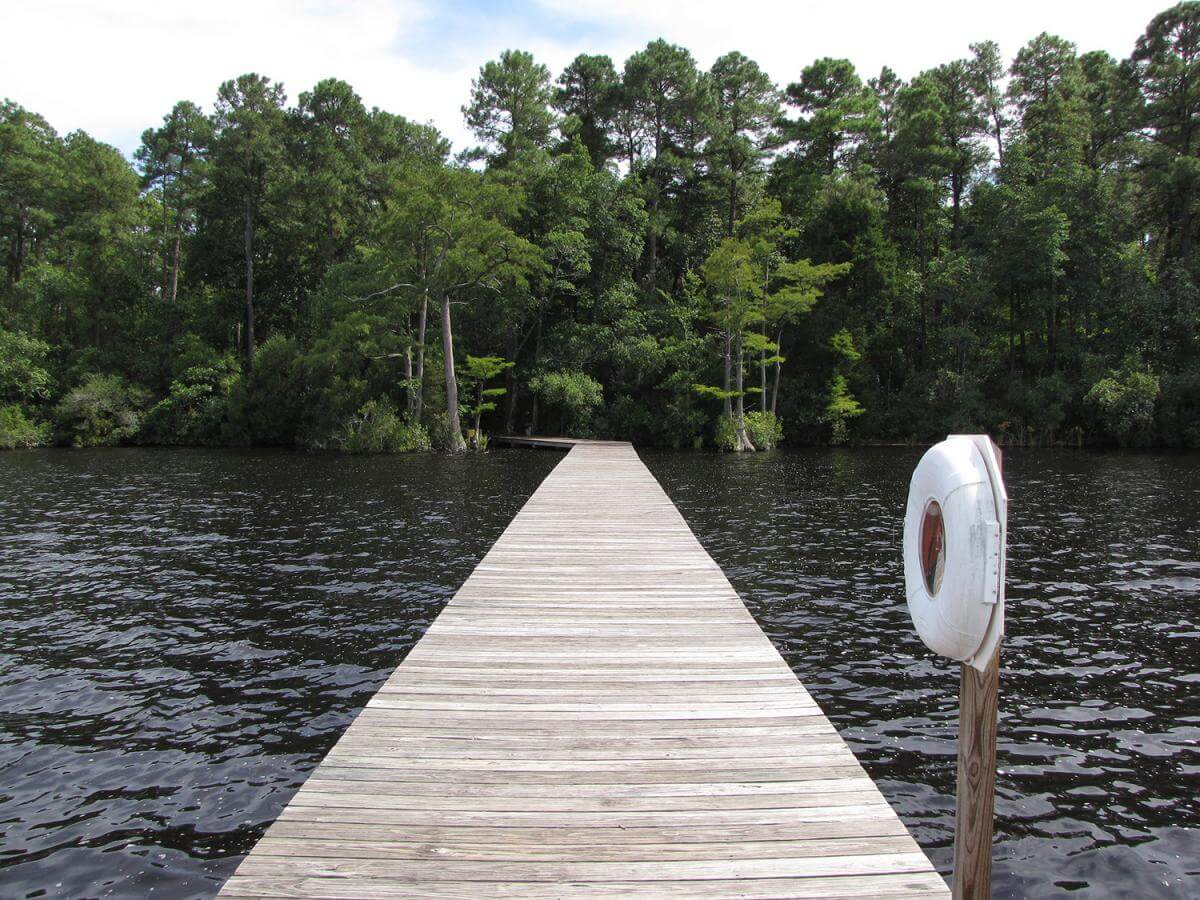 Jones Lake State Park Fishing Pier, Bladen County, North Carolina, August 25, 2013. Photograph by Flickr user Gerry Dincher. Creative Commons license CC BY-SA 2.0. Jones Lake State Park Fishing Pier, Bladen County, North Carolina, August 25, 2013. Photograph by Flickr user Gerry Dincher. Creative Commons license CC BY-SA 2.0.