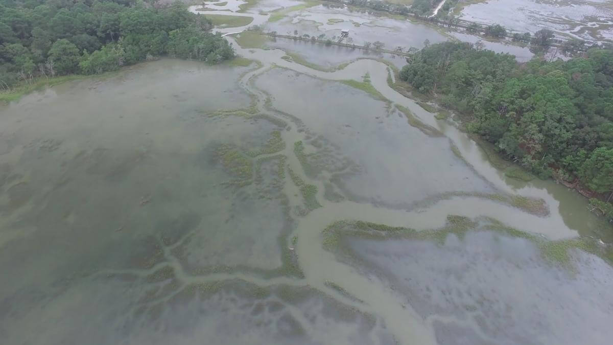 Internal Waterway, Sapelo Island, Georgia, 2015. Screenshot courtesy of Southern Spaces. Internal Waterway, Sapelo Island, Georgia, 2015. Screenshot courtesy of Southern Spaces.