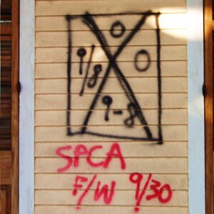 Boxed X, Faubourg Marigny, New Orleans, Louisiana, 2005. Photograph by Cynthia Scott. This was a unique form of the hieroglyphic X, resembling pictographs of the Vodou entities. © Cynthia Scott. Boxed X, Faubourg Marigny, New Orleans, Louisiana, 2005. Photograph by Cynthia Scott. This was a unique form of the hieroglyphic X, resembling pictographs of the Vodou entities. © Cynthia Scott.