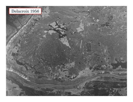Wetland loss between 1956 and 2008 near Delacroix, Lousiana. Slides from Southeast Lousiana Flood Protection Authority-East's (SLFPAE) January 16, 2014, presentation to the Coastal Planning and Restoration Authority (CPRA). GIF by Eric Nost. Courtesy of Eric Nost, "Much Ado about the Causes of Wetland Loss in Louisiana." Wetland loss between 1956 and 2008 near Delacroix, Lousiana. Slides from Southeast Lousiana Flood Protection Authority-East's (SLFPAE) January 16, 2014, presentation to the Coastal Planning and Restoration Authority (CPRA). GIF by Eric Nost. Courtesy of Eric Nost, "Much Ado about the Causes of Wetland Loss in Louisiana."