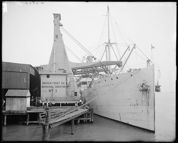 United Fruit Company banana conveyors, New Orleans, Louisiana, 1910. Courtesy of the Library of Congress, Prints and Photographs Division, LC-DIG-det-4a19873. United Fruit Company banana conveyors, New Orleans, Louisiana, 1910. Courtesy of the Library of Congress, Prints and Photographs Division, LC-DIG-det-4a19873.