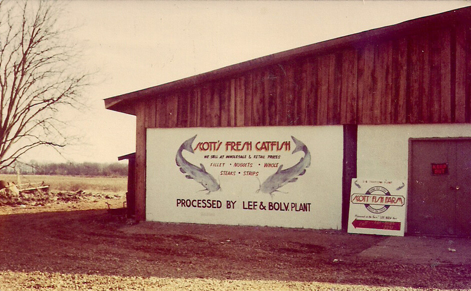 Ed Scott's catfish processing plant, Leflore County, Mississippi, ca. 1983. Photograph by unknown creator. Originally published in Julian Rankin's Catfish Dream: Ed Scott's Fight for His Family Farm and Racial Justice in the Mississippi Delta (University of Georgia Press, 2018). Courtesy of Willena Scott-White. An old photograph showing a wooden building with a sign that says "Scott's Fresh Catfish"