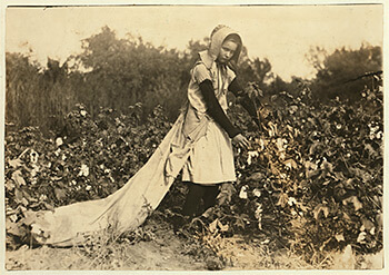 Figure 2. Callie Campbell, eleven years old. Pottawotamie County, Oklahoma, 1916. Photograph by Lewis Hine. Child Labor Collection, Library of Congress, LOT 7475, v. 2, no. 4594. Figure 2. Callie Campbell, eleven years old. Pottawotamie County, Oklahoma, 1916. Photograph by Lewis Hine. Child Labor Collection, Library of Congress, LOT 7475, v. 2, no. 4594.