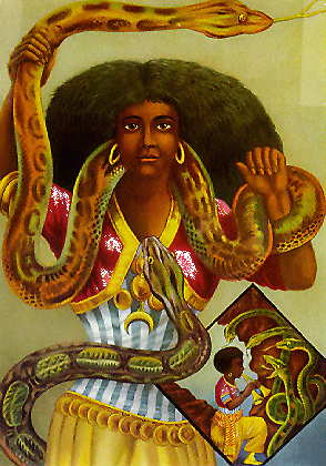 The Snake Charmer